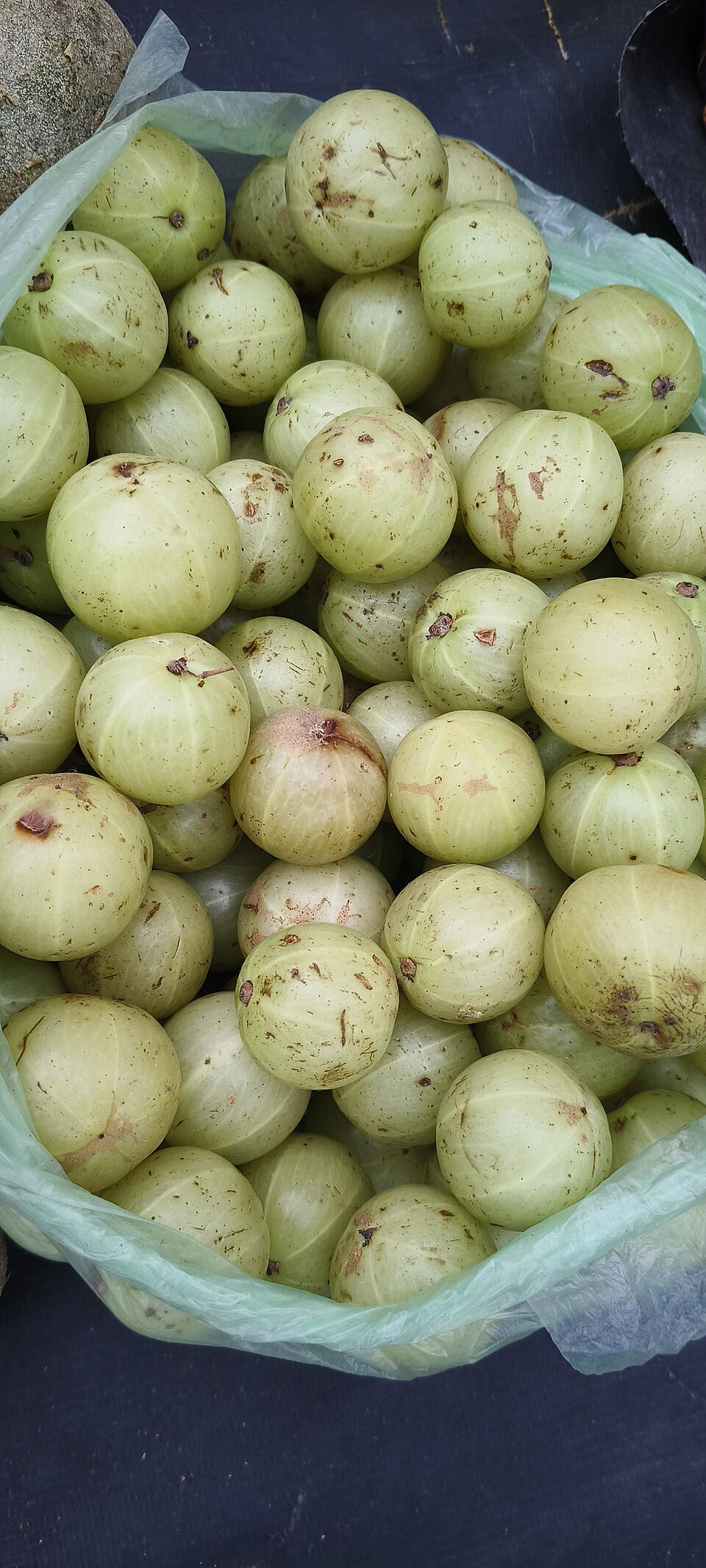 Amla